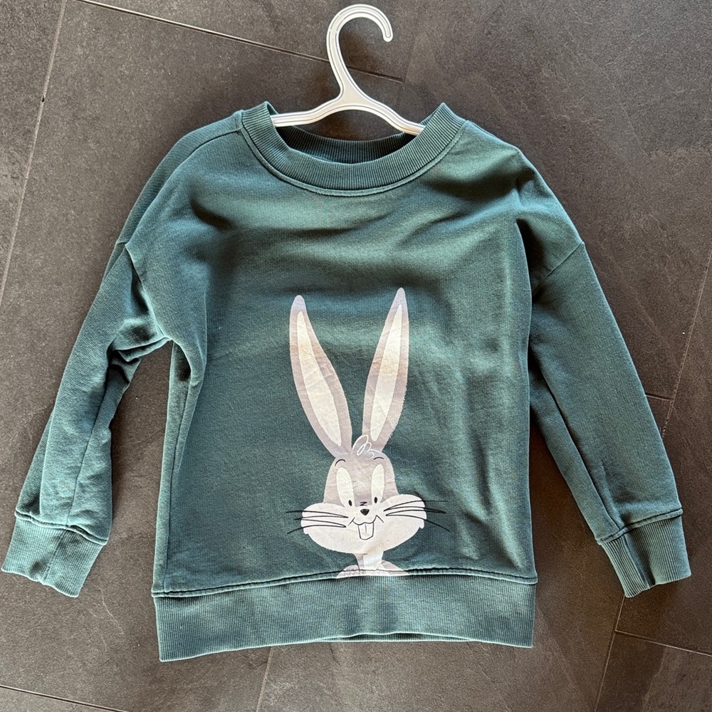 Hanna Andersson Kids Green bug Bunny Graphic Sweatshirt